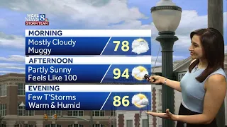 Central Pa. weather: Feels like temperatures will be close to 100 degrees