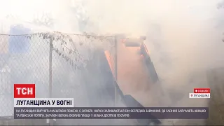 Луганська область у вогні: велика пожежа палає поблизу селища Боровеньки