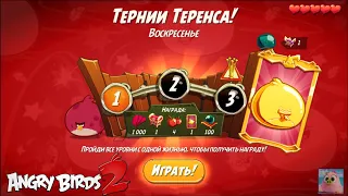 Daily Challenge/Ежедневное испытание 4-5-6 19/12/2021 Angry Birds 2.