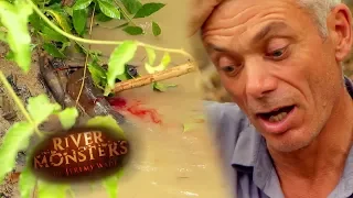 Brazilian People Under Real Threat From Electric Eels | EELS | River Monsters
