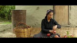 Pomegranate Orchard - Azerbaijani Movie Trailer - 22nd IFFK