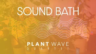 Plant Music Sound Bath - PlantWave Quartet - 528hz