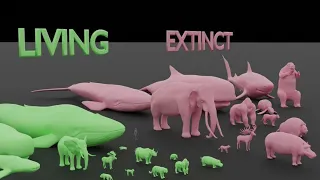 Largest Living vs Extinct Animals ll 3D Animation