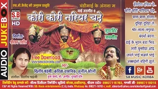 दिलीप षड़ंगी कविता वासनिक | कोरी कोरी नरियर चढ़े devi archana mai jasgeet bhag - 9 chhattisgarhi song