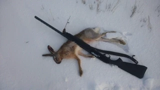 Добор подранка. Заяц.hunting on a hares in Russia