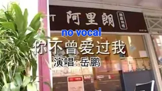 你不曾爱过我 Ni Bu Ceng Ai Guo Wo 伴奏 karaoke 岳鹏 Yue Peng