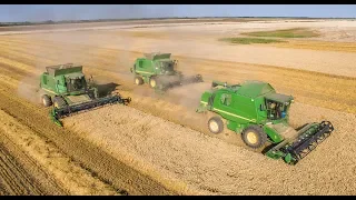 BIG Wheat Harvest - John Deere 9680 WTS + W660 + W650 | Żniwa 2018