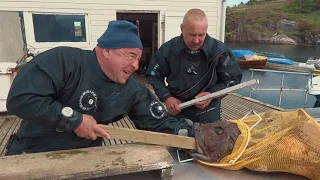 Нападение Морского Черта на дайвера. По-новому о старом