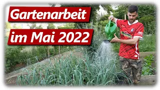 Gartenarbeit Mai 2022 | Auspflanzen, Aussaat, Hochbeet auffüllen, Ernten