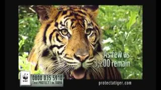 protectatiger.com - WWF adopt a tiger