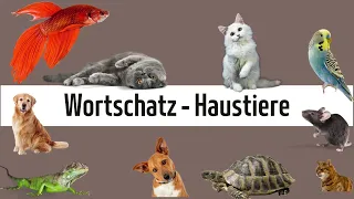 Learn German - Vocabulary: Pets