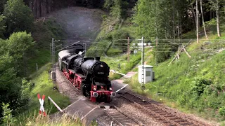 52 7596 randaliert im Schwarzwald | Dampflok auf der Schwarzwaldbahn (4K)