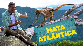 Mata Atlântica | Biomas do Brasil | Ep.8