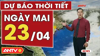 Dự báo thời tiết ngày mai 23/4: Miền Bắc cục bộ có mưa vừa, mưa to kèm theo nguy cơ lốc sét | ANTV