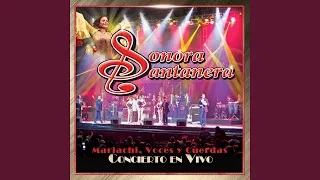 Perfume de Gardenias (feat. Mariachi Vargas de Tecatitlán) (En Vivo)