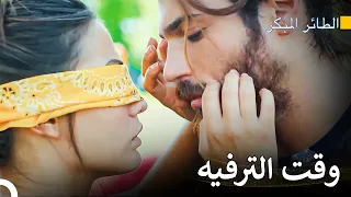 مشاهد النشاط الأكثر متعة - سلسل الطائر المبكر