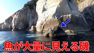 高知県、沖ノ島の磯際が面白過ぎる！