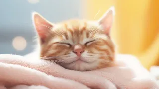 EXTREMELY Soothing Cat Therapy Music - Relax Your Cat! Cat Music