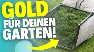 4 Gründe, wieso du Rasenschnitt keinesfalls wegwerfen solltest!