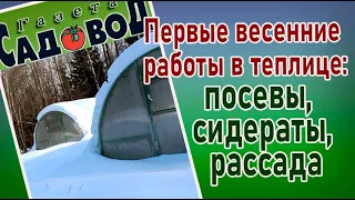 ПЕРВЫЕ ВЕСЕННИЕ РАБОТЫ В ТЕПЛИЦЕ: посевы, сидераты, рассада