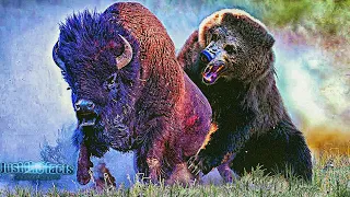Бурый МЕДВЕДЬ - Несокрушимый Хозяин Леса! Медведь против Бизона, Оленя и Волка