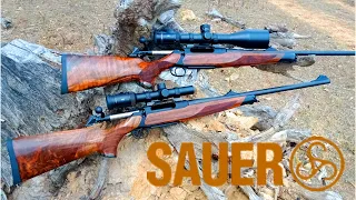 Sauer 404 - A Work Of Art