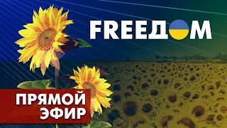 Телевизионный проект FREEДОМ | Утро 16.10.2022