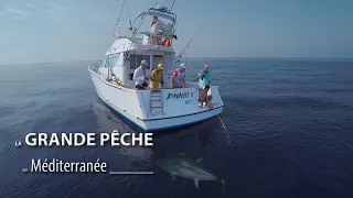 LA GRANDE PÊCHE EN MÉDITERRANÉE