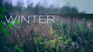 Five Seasons: The Gardens of Piet Oudolf - Hummelo winter time-lapse