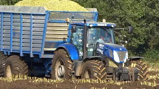 Mais Silage In The Mud | 2x Claas Jaguar 950 + New Holland + Case IH | Berkhof