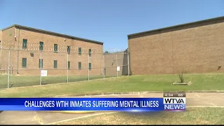 How do jail officials help inmates suffering from mental illness?