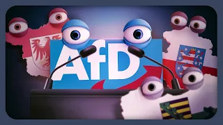 Regiert die AfD nächstes Jahr?