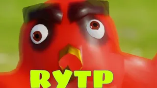 Птичий гнев RYTP