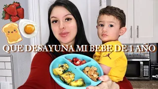 QUE DASAYUNA MI BEBE DE 1 AÑO 👶🏻 + MI DESAYUNO DE EMBARAZADA🤰🏻