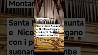 Montanaro, Santa Maria Assunta e  Nicolao e l'organo con i putti che suonano le trombe