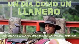 Un día como un llanero en Villavicencio