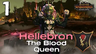 RISE OF THE BLOOD QUEEN!! | Hellebron The Hag Queen | Immortal Empires Modded Stream Campaign Part 1