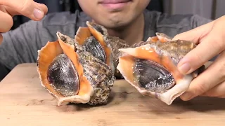 How to prepare and eat  Sea Snail sashimi 참소라회 海螺 栄螺