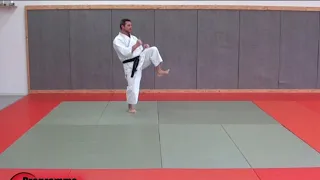 Programme technique de la ceinture Blanche-jaune / épreuve 1