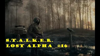 S.T.A.L.K.E.R. - Lost Alpha Фарм в Темной лощине #16