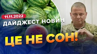 🔥🔥 Дайджест 261 дня війни:  ХЕРСОН вдома  Окупанти тікають  Україна будує стіну