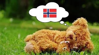 Learn Norwegian While You Sleep - 1000 Important Norwegian Words & Phrases