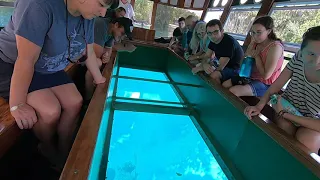 Amazing Glass Bottom Boats Tour in 2019 (Full HD)