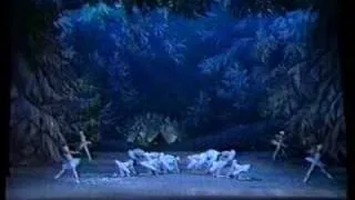 Waltz of the Snowflakes from The Nutcracker (Mariinsky)