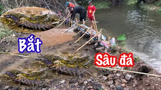 Chặn dòng suối bắt con sâu đá, làm món gỏi cá cây chuối