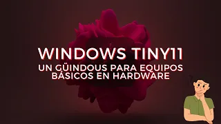 Windows Tiny11 para equipos antiguos con 2gb en ram