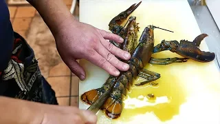 Japanese Street Food - LOBSTER RAMEN Grilled Cheese Seafood Japan