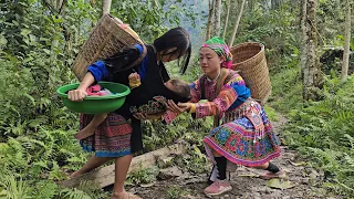 17-year-old single mother - raising children alone & kindness of - anh hmong - Harvest beard garden