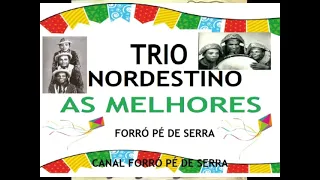 TRIO NORDESTINOS AS MELHORES