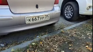 toyota vitz отсечка